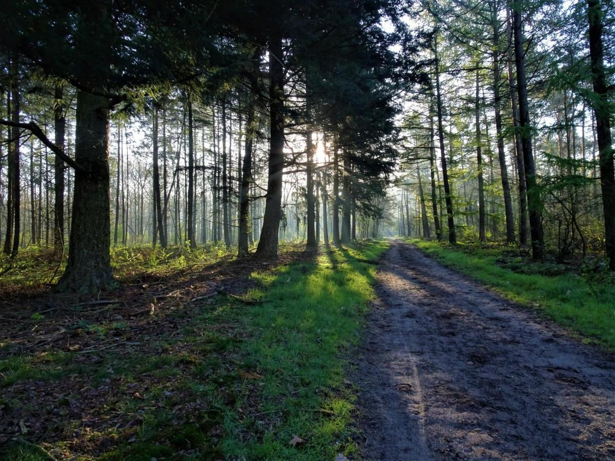Veluwe Park Reewold Chalet Infinity Путен Екстериор снимка