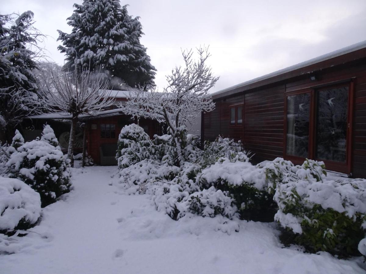 Veluwe Park Reewold Chalet Infinity Путен Екстериор снимка